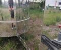 2ППС 4, об'ємом двигуна 0 л та пробігом 4 тис. км за 15000 $, фото 2 на Automoto.ua