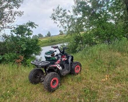 Красный АТВ 110, объемом двигателя 0 л и пробегом 6 тыс. км за 484 $, фото 2 на Automoto.ua