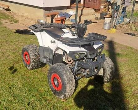 АТВ 125, об'ємом двигуна 0.25 л та пробігом 100 тис. км за 650 $, фото 3 на Automoto.ua