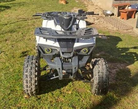 АТВ 125, об'ємом двигуна 0.25 л та пробігом 100 тис. км за 650 $, фото 2 на Automoto.ua