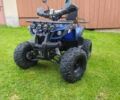 Синий АТВ 125, объемом двигателя 0 л и пробегом 1 тыс. км за 800 $, фото 1 на Automoto.ua