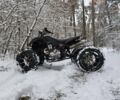 Черный АТВ 250, объемом двигателя 0 л и пробегом 15 тыс. км за 1400 $, фото 13 на Automoto.ua