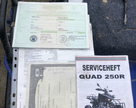 Синий АТВ 250, объемом двигателя 0.25 л и пробегом 5 тыс. км за 800 $, фото 1 на Automoto.ua