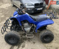 Синий АТВ 250, объемом двигателя 0.25 л и пробегом 5 тыс. км за 800 $, фото 4 на Automoto.ua