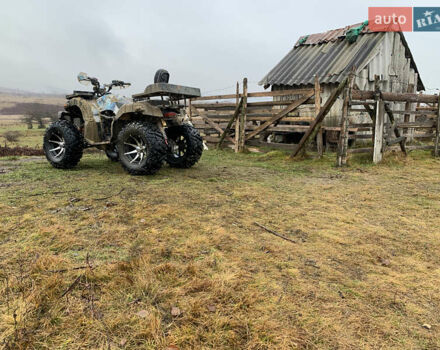 Синий АТВ 250, объемом двигателя 0.25 л и пробегом 1 тыс. км за 1800 $, фото 5 на Automoto.ua