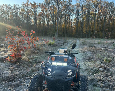 АТВ 300, объемом двигателя 0 л и пробегом 1 тыс. км за 1950 $, фото 2 на Automoto.ua