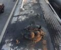Жовтий Акербі 21L2.39-A, об'ємом двигуна 0 л та пробігом 100 тис. км за 20000 $, фото 3 на Automoto.ua