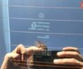 Черный Акура ТЛХ, объемом двигателя 3.47 л и пробегом 160 тыс. км за 14200 $, фото 15 на Automoto.ua