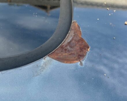 Серый Акура ТСХ, объемом двигателя 2.4 л и пробегом 151 тыс. км за 4700 $, фото 14 на Automoto.ua