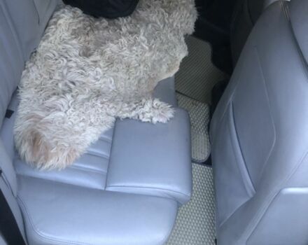 Серый Альфа 155, объемом двигателя 1.9 л и пробегом 320 тыс. км за 3200 $, фото 3 на Automoto.ua