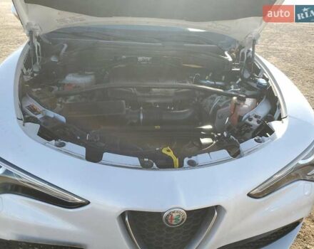 Білий Альфа Ромео Стелвіо, об'ємом двигуна 2 л та пробігом 28 тис. км за 6000 $, фото 10 на Automoto.ua