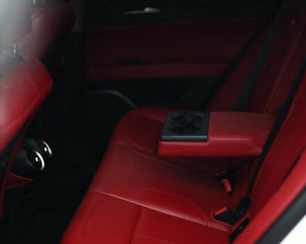 Белый Альфа Ромео Стелвио, объемом двигателя 2 л и пробегом 54 тыс. км за 30000 $, фото 12 на Automoto.ua