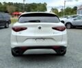 Белый Альфа stelvio, объемом двигателя 2 л и пробегом 30 тыс. км за 9800 $, фото 4 на Automoto.ua