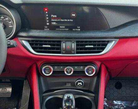 Серый Альфа stelvio, объемом двигателя 2 л и пробегом 49 тыс. км за 13300 $, фото 11 на Automoto.ua