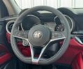 Серый Альфа stelvio, объемом двигателя 2 л и пробегом 49 тыс. км за 13300 $, фото 9 на Automoto.ua