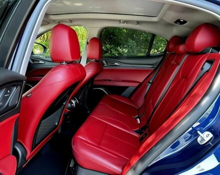 Синий Альфа stelvio, объемом двигателя 2 л и пробегом 30 тыс. км за 17000 $, фото 13 на Automoto.ua