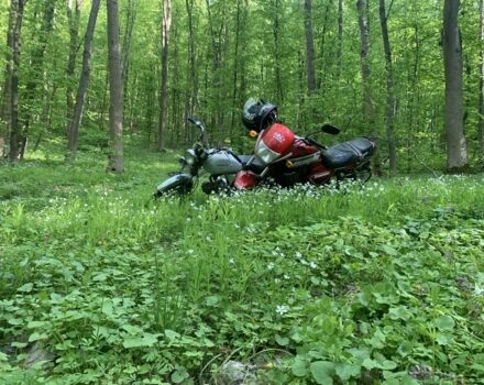 Альфа 125, об'ємом двигуна 0.13 л та пробігом 0 тис. км за 485 $, фото 1 на Automoto.ua