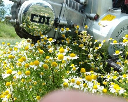 Альфа 125, объемом двигателя 0.13 л и пробегом 0 тыс. км за 214 $, фото 7 на Automoto.ua