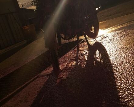 Альфа Другая, объемом двигателя 0.13 л и пробегом 0 тыс. км за 505 $, фото 2 на Automoto.ua