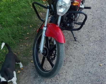 Альфа Другая, об'ємом двигуна 2.3 л та пробігом 0 тис. км за 360 $, фото 4 на Automoto.ua
