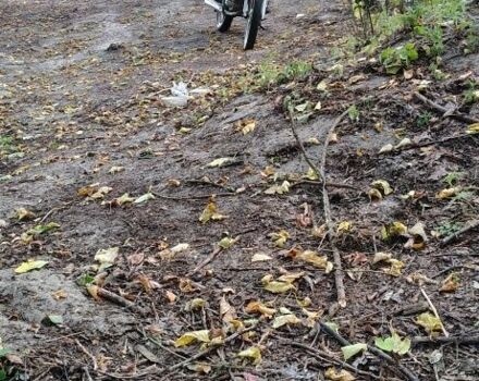 Альфа Другая, объемом двигателя 72 л и пробегом 0 тыс. км за 143 $, фото 1 на Automoto.ua