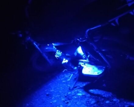 Альфа Другая, объемом двигателя 0.11 л и пробегом 0 тыс. км за 345 $, фото 8 на Automoto.ua