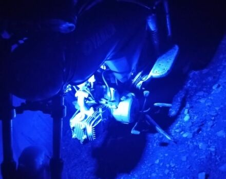 Альфа Другая, объемом двигателя 0.11 л и пробегом 0 тыс. км за 345 $, фото 9 на Automoto.ua