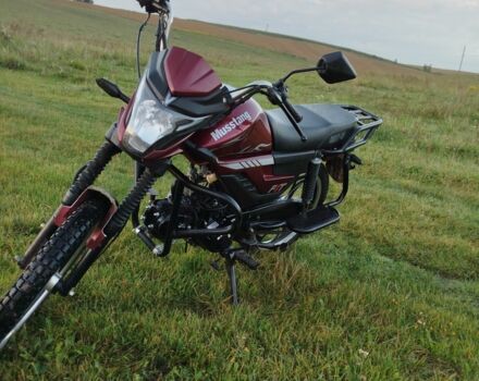 Альфа Другая, объемом двигателя 0.13 л и пробегом 0 тыс. км за 667 $, фото 3 на Automoto.ua