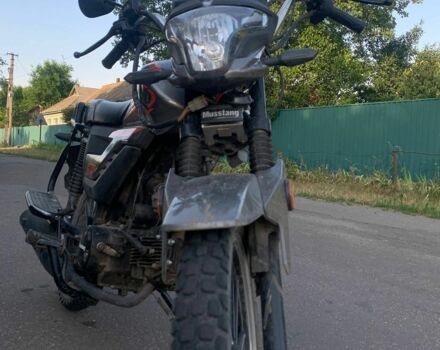 Альфа Другая, объемом двигателя 0.13 л и пробегом 0 тыс. км за 379 $, фото 2 на Automoto.ua