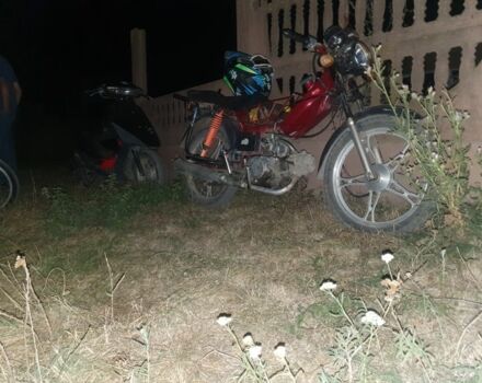 Альфа Другая, объемом двигателя 0.11 л и пробегом 0 тыс. км за 203 $, фото 3 на Automoto.ua