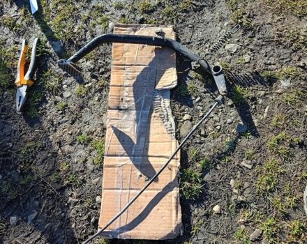 Альфа Другая, об'ємом двигуна 0.13 л та пробігом 0 тис. км за 24 $, фото 3 на Automoto.ua