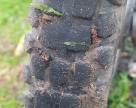 Альфа Другая, объемом двигателя 0 л и пробегом 0 тыс. км за 201 $, фото 6 на Automoto.ua