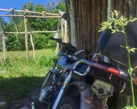 Альфа Другая, объемом двигателя 72 л и пробегом 0 тыс. км за 49 $, фото 4 на Automoto.ua