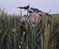 Альфа Другая, об'ємом двигуна 72 л та пробігом 0 тис. км за 218 $, фото 2 на Automoto.ua