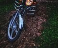 Альфа Другая, об'ємом двигуна 0.11 л та пробігом 0 тис. км за 450 $, фото 5 на Automoto.ua
