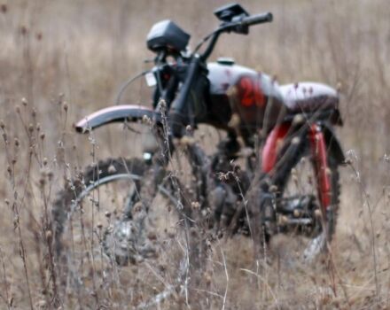 Альфа Другая, объемом двигателя 0.13 л и пробегом 0 тыс. км за 357 $, фото 2 на Automoto.ua