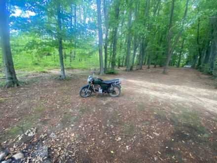 Альфа Другая, об'ємом двигуна 0.12 л та пробігом 0 тис. км за 437 $, фото 1 на Automoto.ua