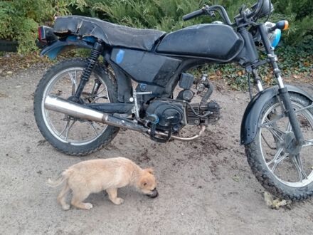 Альфа Другая 2008 в Харькове на Automoto.ua Альфа Другая, объемом двигателя 0.11 л и пробегом 0 тыс. км за 8500 $, фото 1 на Automoto.ua
