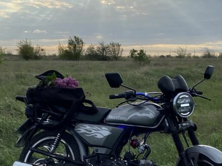 Альфа Другая 2024 у Запоріжжя на Automoto.ua Альфа Другая, об'ємом двигуна 0.13 л та пробігом 0 тис. км за 606 $, фото 1 на Automoto.ua