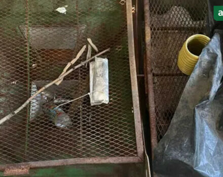 Амазоні ЗА-М, об'ємом двигуна 0 л та пробігом 0 тис. км за 830 $, фото 3 на Automoto.ua