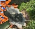 Амазони Другая, объемом двигателя 0 л и пробегом 0 тыс. км за 9434 $, фото 6 на Automoto.ua