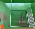 Амазони Другая, объемом двигателя 0 л и пробегом 0 тыс. км за 78091 $, фото 10 на Automoto.ua