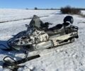 Арктик кэт Пантера 660, объемом двигателя 0 л и пробегом 3 тыс. км за 6800 $, фото 4 на Automoto.ua