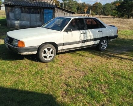 Ауди 100 1983 в Ковель на Automoto.ua Белый Ауди 100, объемом двигателя 1.8 л и пробегом 300 тыс. км за 1300 $, фото 1 на Automoto.ua
