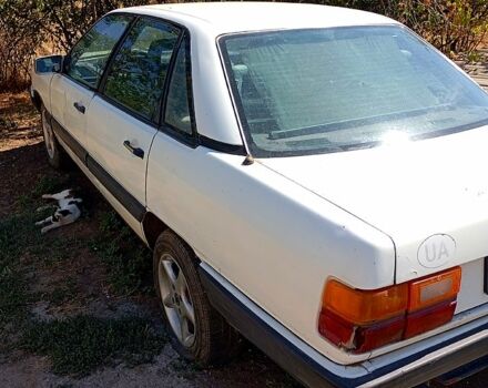 Ауди 100 1983 в Татарбунарах на Automoto.ua Белый Ауди 100, объемом двигателя 1.8 л и пробегом 111 тыс. км за 350 $, фото 1 на Automoto.ua