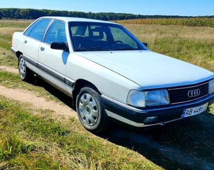Ауди 100 1988 в Виннице на Automoto.ua Белый Ауди 100, объемом двигателя 2 л и пробегом 310 тыс. км за 3590 $, фото 1 на Automoto.ua