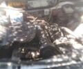 Білий Ауді 100, об'ємом двигуна 1.8 л та пробігом 400 тис. км за 900 $, фото 2 на Automoto.ua