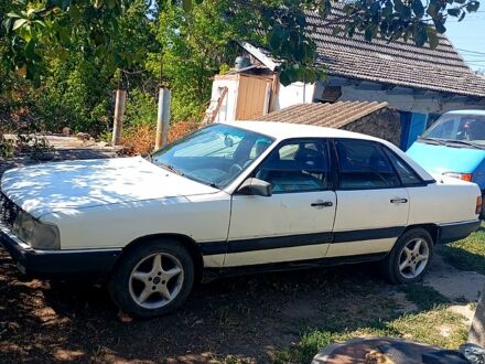 Ауди 100 1983 в Татарбунарах на Automoto.ua Белый Ауди 100, объемом двигателя 1.8 л и пробегом 111 тыс. км за 350 $, фото 1 на Automoto.ua