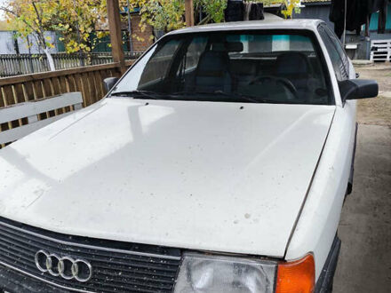Белый Ауди 100, объемом двигателя 1.8 л и пробегом 200 тыс. км за 700 $, фото 1 на Automoto.ua