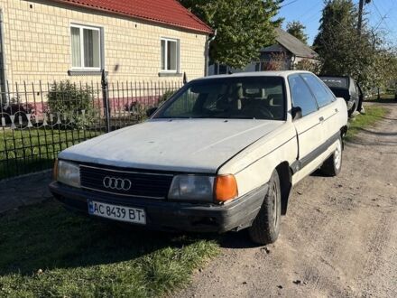 Ауди 100 1988 в Иваничи на Automoto.ua Белый Ауди 100, объемом двигателя 2.3 л и пробегом 300 тыс. км за 470 $, фото 1 на Automoto.ua
